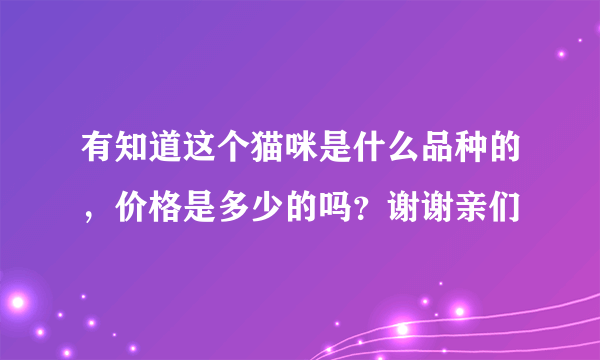 有知道这个猫咪是什么品种的，价格是多少的吗？谢谢亲们