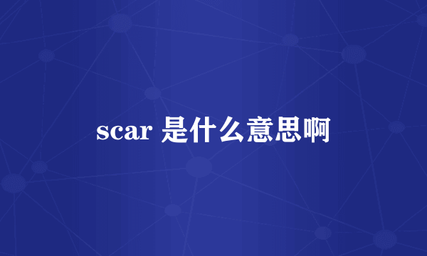 scar 是什么意思啊