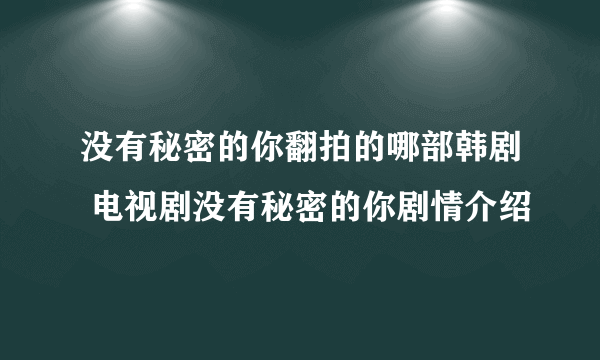 没有秘密的你翻拍的哪部韩剧 电视剧没有秘密的你剧情介绍