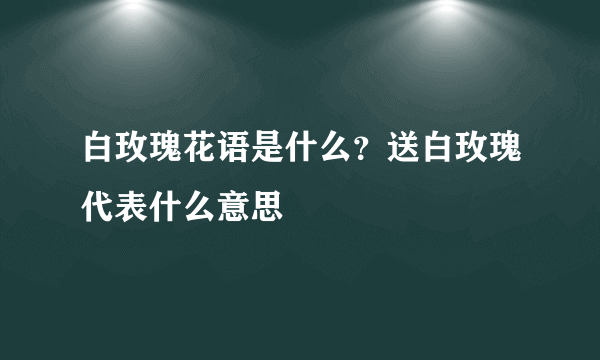 白玫瑰花语是什么？送白玫瑰代表什么意思