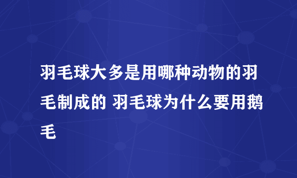 羽毛球大多是用哪种动物的羽毛制成的 羽毛球为什么要用鹅毛