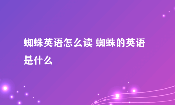 蜘蛛英语怎么读 蜘蛛的英语是什么