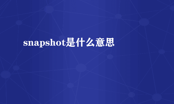 snapshot是什么意思