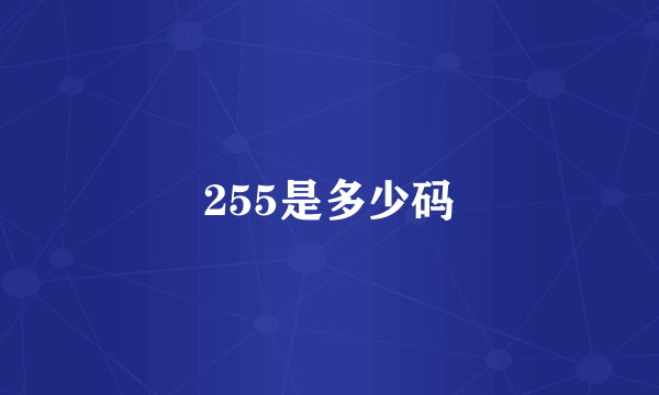 255是多少码