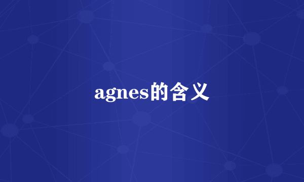 agnes的含义