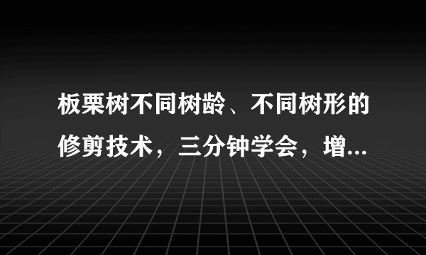 板栗树不同树龄、不同树形的修剪技术，三分钟学会，增产又增收