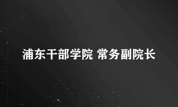 浦东干部学院 常务副院长