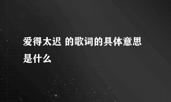 爱得太迟 的歌词的具体意思是什么