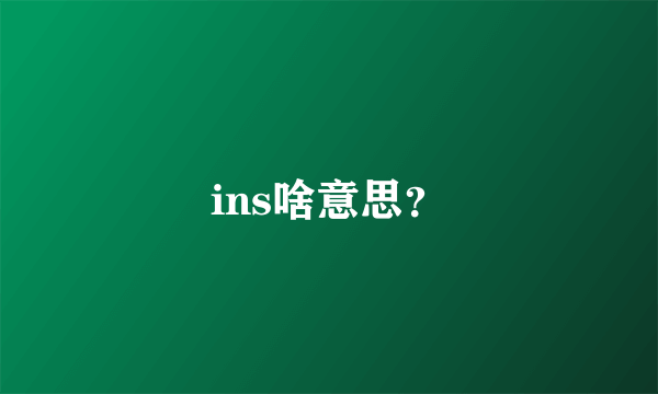 ins啥意思？