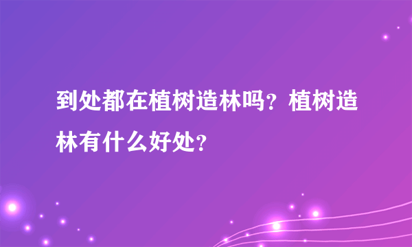 到处都在植树造林吗？植树造林有什么好处？