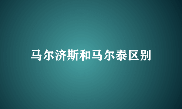 马尔济斯和马尔泰区别