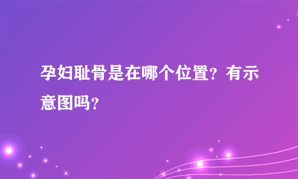 孕妇耻骨是在哪个位置？有示意图吗？