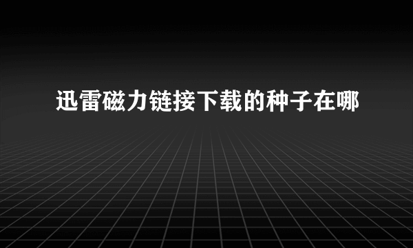 迅雷磁力链接下载的种子在哪