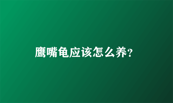 鹰嘴龟应该怎么养？