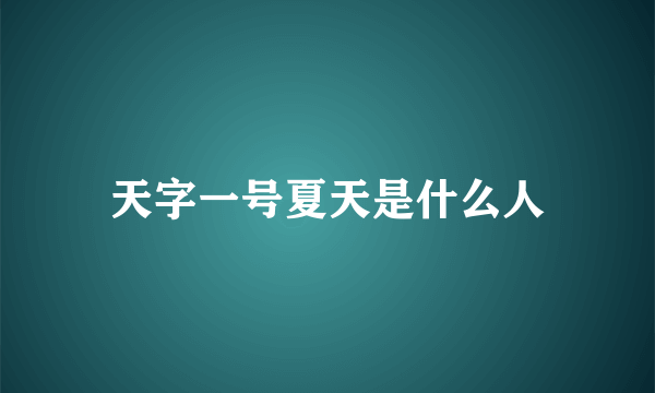 天字一号夏天是什么人