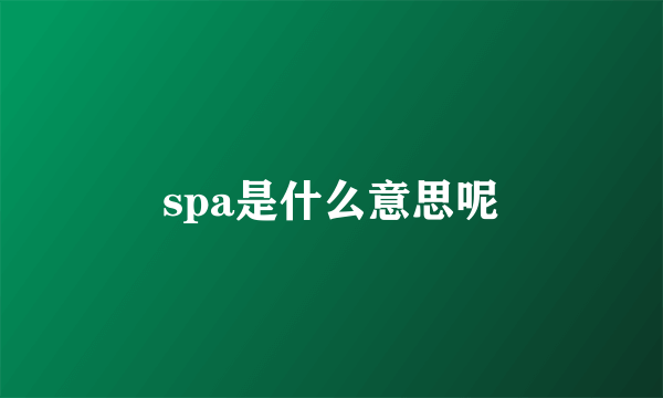 spa是什么意思呢