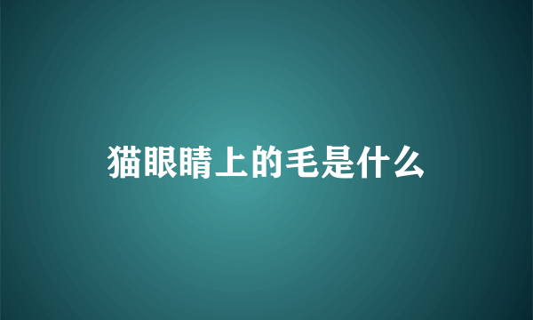 猫眼睛上的毛是什么