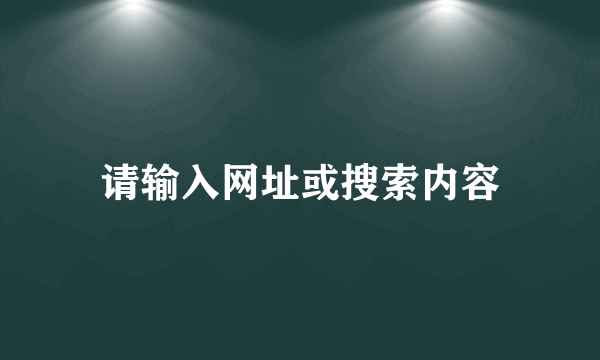 请输入网址或搜索内容