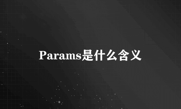 Params是什么含义