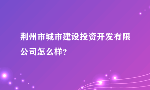 荆州市城市建设投资开发有限公司怎么样？