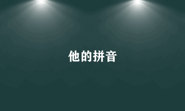 他的拼音