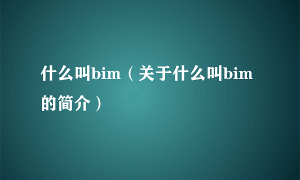 什么叫bim（关于什么叫bim的简介）