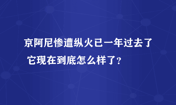 京阿尼惨遭纵火已一年过去了 它现在到底怎么样了？