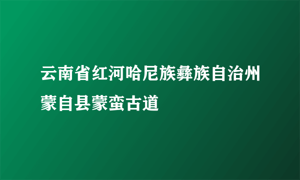 云南省红河哈尼族彝族自治州蒙自县蒙蛮古道