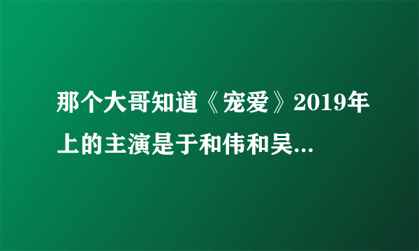 那个大哥知道《宠爱》2019年上的主演是于和伟和吴磊，完整高清视频百度网盘资源