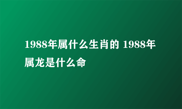 1988年属什么生肖的 1988年属龙是什么命