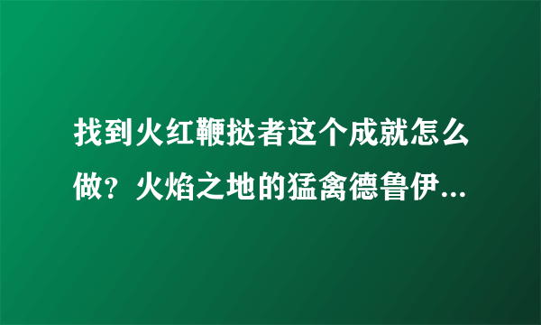 找到火红鞭挞者这个成就怎么做？火焰之地的猛禽德鲁伊，这个火焰之地是那个副本火焰裂口还是其他地方？