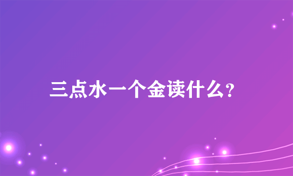 三点水一个金读什么？