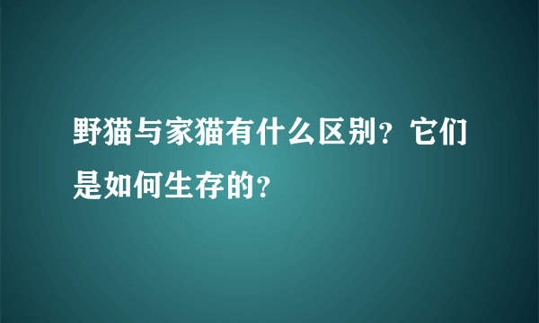 野猫与家猫有什么区别？它们是如何生存的？