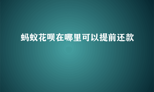 蚂蚁花呗在哪里可以提前还款