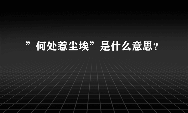 ”何处惹尘埃”是什么意思？