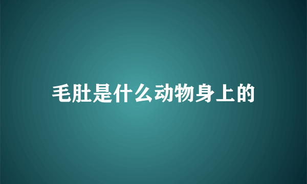 毛肚是什么动物身上的