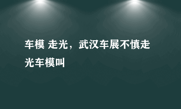 车模 走光，武汉车展不慎走光车模叫