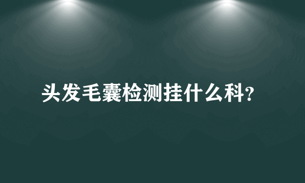 头发毛囊检测挂什么科？