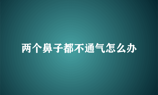 两个鼻子都不通气怎么办