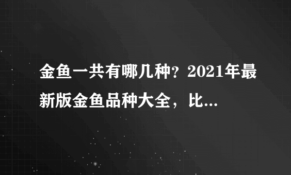 金鱼一共有哪几种？2021年最新版金鱼品种大全，比赛也按此划分