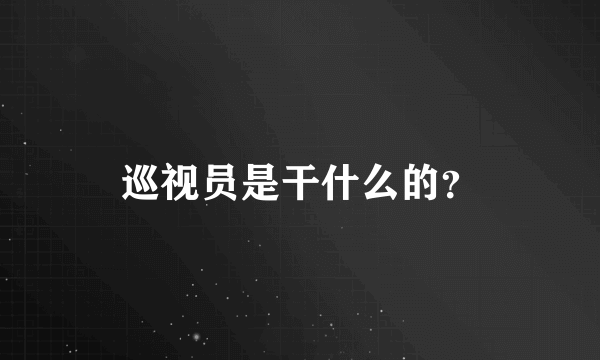 巡视员是干什么的？