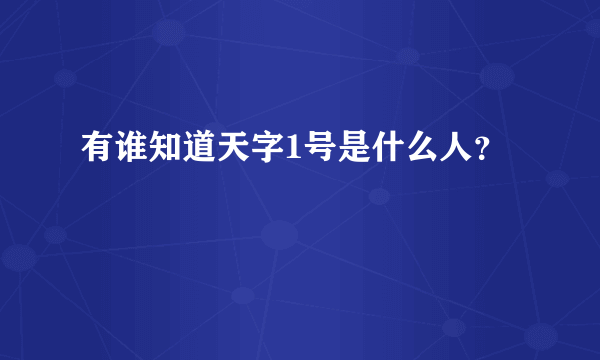 有谁知道天字1号是什么人？