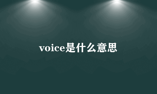 voice是什么意思