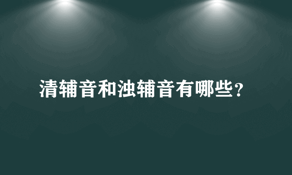 清辅音和浊辅音有哪些？