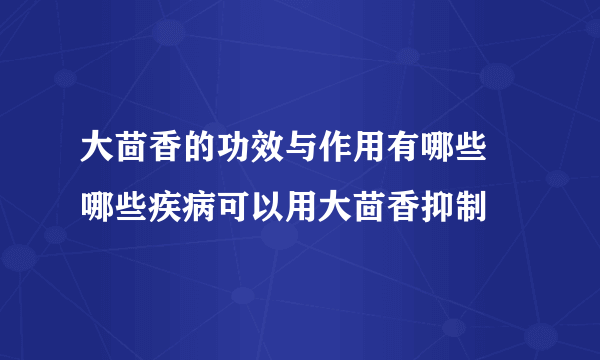 大茴香的功效与作用有哪些 哪些疾病可以用大茴香抑制