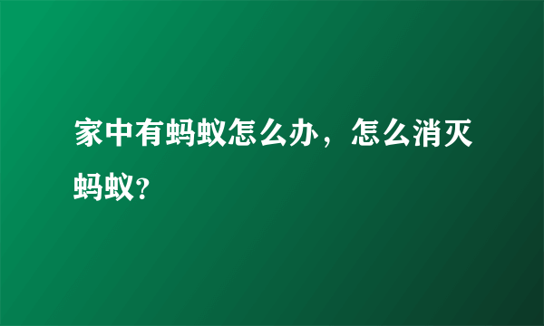 家中有蚂蚁怎么办，怎么消灭蚂蚁？