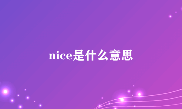 nice是什么意思