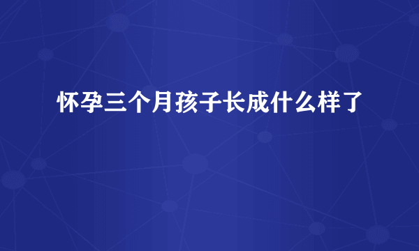 怀孕三个月孩子长成什么样了