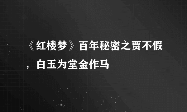 《红楼梦》百年秘密之贾不假，白玉为堂金作马