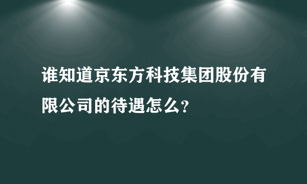 谁知道京东方科技集团股份有限公司的待遇怎么？